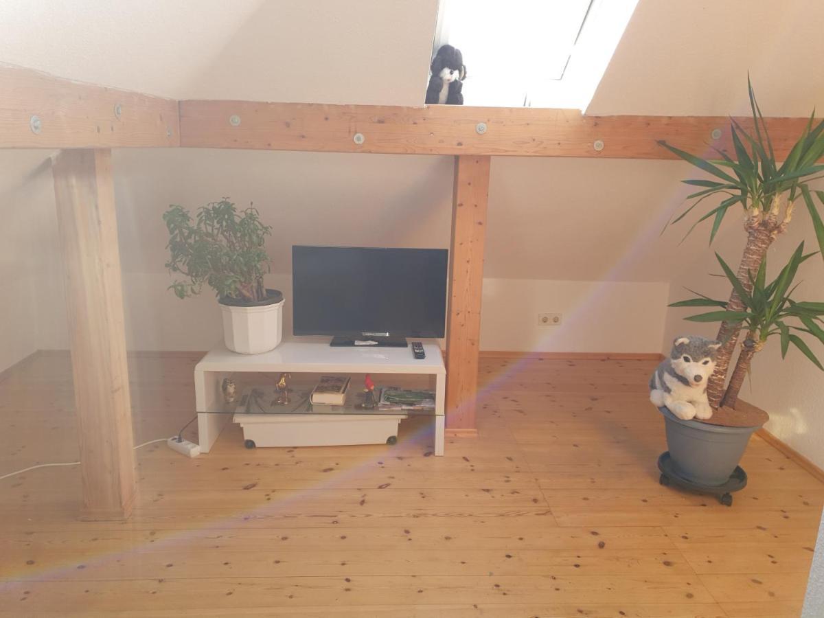 Hotel, Ferienwohnung, Zimmer Bad Driburg Dış mekan fotoğraf
